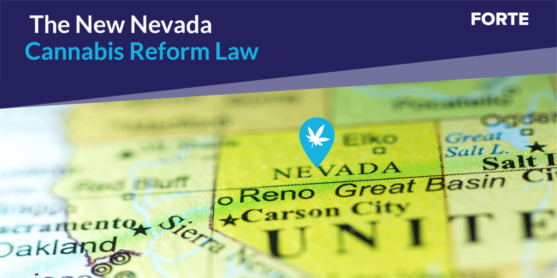 The New Nevada Cannabis Reform Law Forte   MicrosoftTeams Image Scaled 