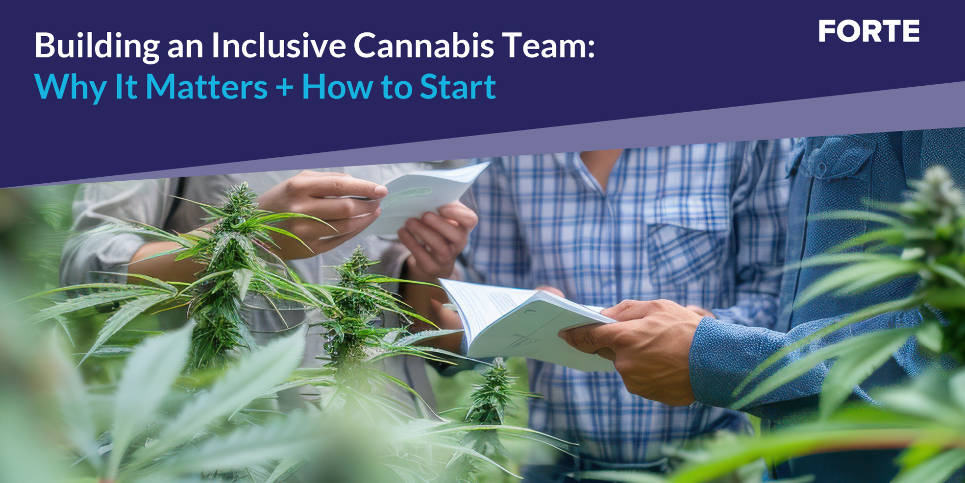 Building an Inclusive Cannabis Team: Why It Matters + How to Start